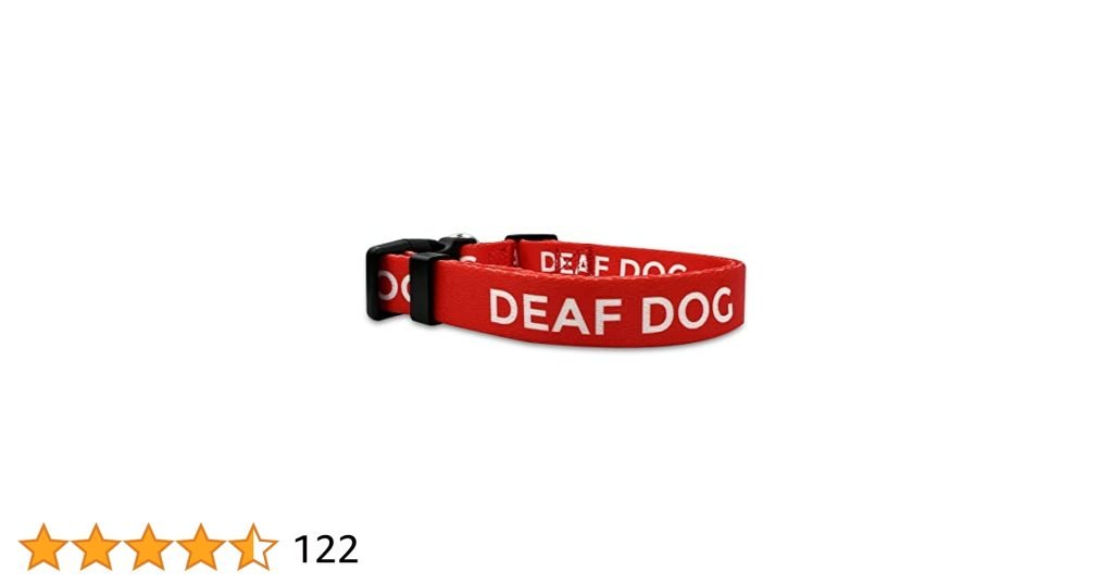 Accessories for Deaf Dogs: Enhance Their Quality of Life