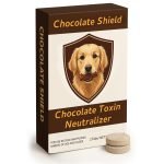 Activated Charcoal Dog Chocolate: Safety & Benefits Explained