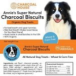 Activated Charcoal for Dogs Walmart: Essential Guide 2025