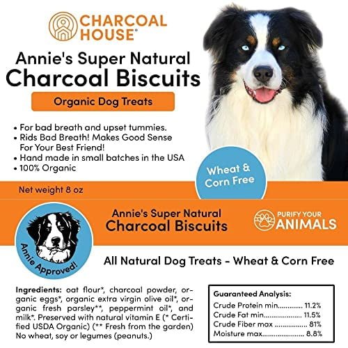 Activated Charcoal for Dogs Walmart