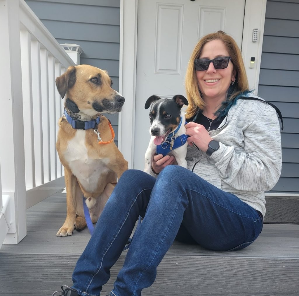 Active Dog Daycare & Boarding West Diversey Ave Chicago IL Fun!