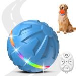 Active Dog Toys: Boost Your Pet’s Playtime Fun