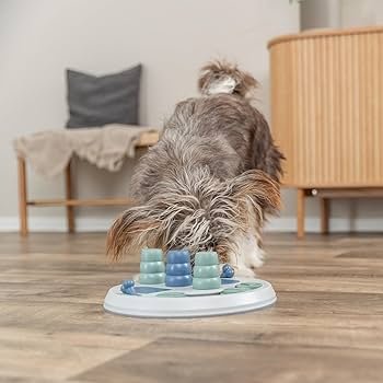 Activity Board for Dogs: Boost Your Pup’s Intelligence