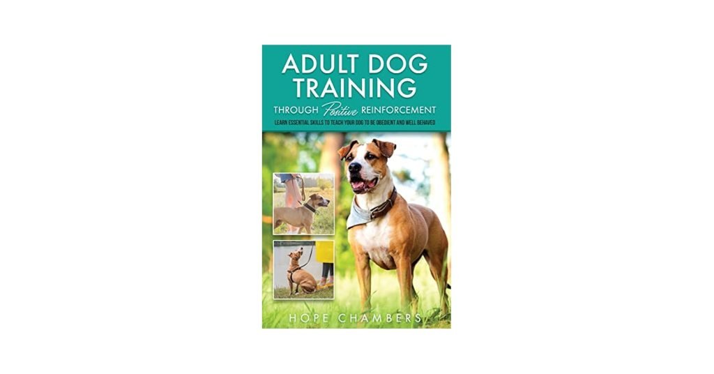 Adult Dog Training: Master Techniques for Success