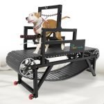 Automatic Dog Treadmill for Exercise: Keep Your Dog Fit and Active Indoors