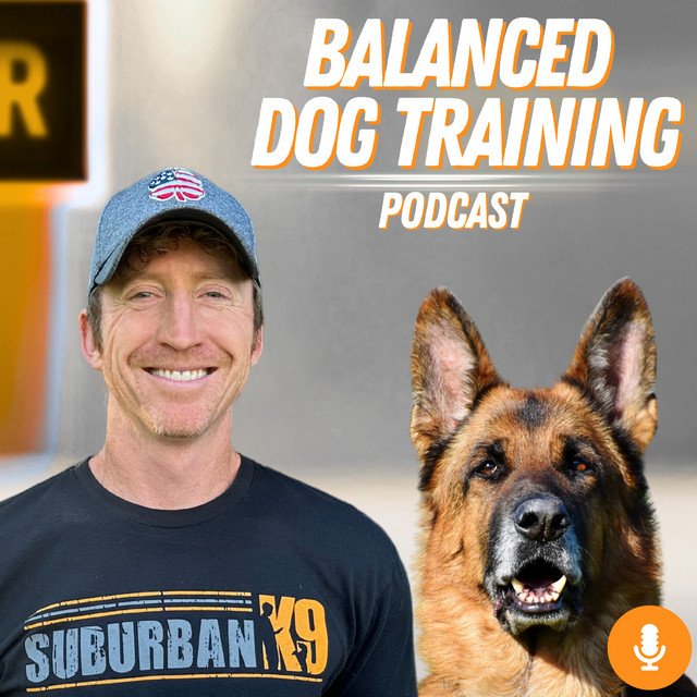 Balanced Dog Training: Master Techniques for Success