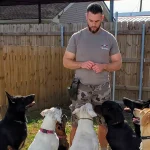 Basic Dog Obedience Training: Your Guide to Success