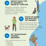 Basic Obedience Training for Dogs: Essential Tips