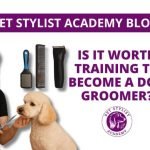 Become a Dog Groomer: Unlock a Rewarding Career in Pet Pampering
