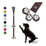 Bell Potty Training a Dog: Quick Tips for Success