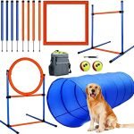 Best Agility Training Equipment for Dogs: Top Backyard Obstacle Courses