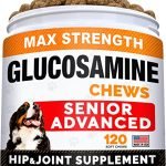 Best Arthritis Medication for Dogs: Top Joint Pain Relief Supplements