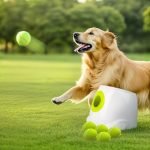 Best Automatic Ball Launcher for Dogs to Boost Playtime and Exercise
