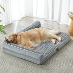 Best Bed for Old Dogs: Top Orthopedic Picks for Ultimate Comfort
