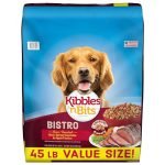 Best Budget Dog Food Options for Healthy, Happy Adult Dogs
