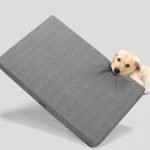 Best Chew Proof Dog Bed for Aggressive Chewers: Durable & Comfortable Picks
