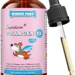 Best Collagen for Dogs: Top Supplements for Joints, Skin & Coat Health