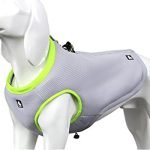 Best Cooling Vest for Dogs: Top Lightweight Jackets for Summer Comfort