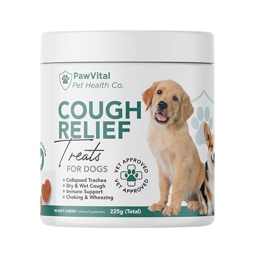 Best Cough Medicine for Dogs: Natural Relief for Wet and Dry Cough