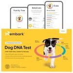 Best DNA Testing Kit for Dogs: Top Accurate Breed & Health Insights