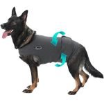 Best Dog Anxiety Vest: Top Calming Jackets for Stress-Free Pets