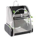 Best Dog Backpack Carriers for Comfortable Travel and Outdoor Adventures 2025