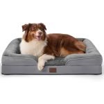 Best Dog Bed for Chewers: Durable, Waterproof, and Orthopedic Comfort