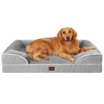 Best Dog Bed for Older Dogs: Orthopedic Comfort for Large Breeds