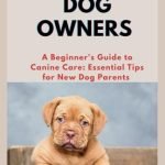 Best Dog Breeds for a First Time Owner: Top Picks and Care Tips