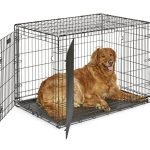 Best Dog Cage Options for Secure, Comfortable, and Portable Kennels