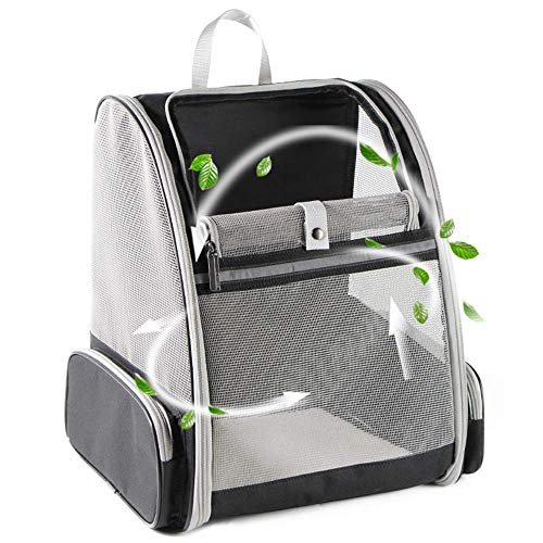 Best Dog Carrier Backpacks for Comfortable Travel and Outdoor Adventures 2025