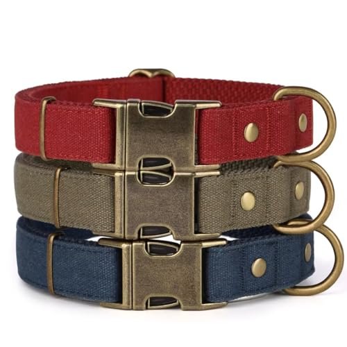 Best Dog Collar Picks: Durable, Adjustable, and Stylish Options for Every Pup