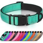 Best Dog Collars for Large Dogs: Durable, Reflective, and Comfortable Picks