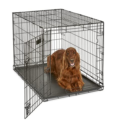 Best Dog Crate for Large Dogs: Durable, Escape-Proof, and Easy to Clean