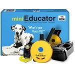 Best Dog E Collar for Effective Training and Maximum Control