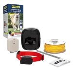 Best Dog Electric Fence Solutions for Stubborn and Persistent Pets