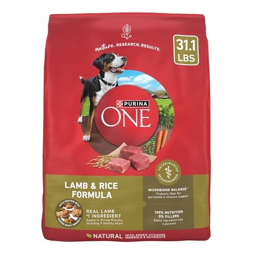 Best Dog Food at Walmart: Top Nutritious Picks for Your Furry Friend