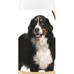 Best Dog Food for Bernese Mountain Dog: Top Nutritious Picks and Treats