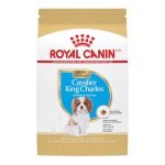 Best Dog Food for Cavalier King Charles: Top Choices for Healthy Pets