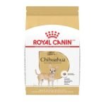 Best Dog Food for Chihuahuas: Top Picks for Health and Nutrition