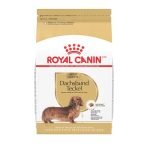 Best Dog Food for Dachshunds: Top Breed-Specific Picks for Health