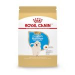 Best Dog Food for Golden Retriever Puppy: Top Nutritious Picks Reviewed