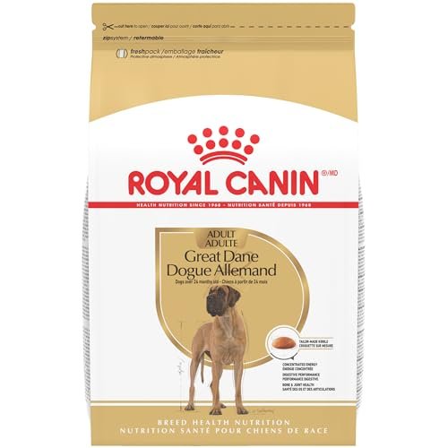 Best Dog Food for Great Danes: Top Picks for Large Breed Health