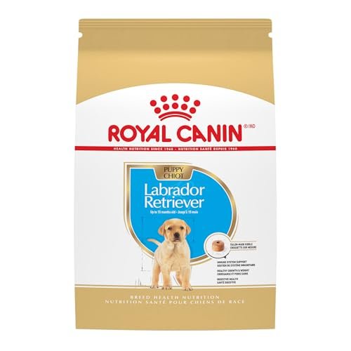 Best Dog Food for Lab Puppies: Top Nutritious Choices for Growth