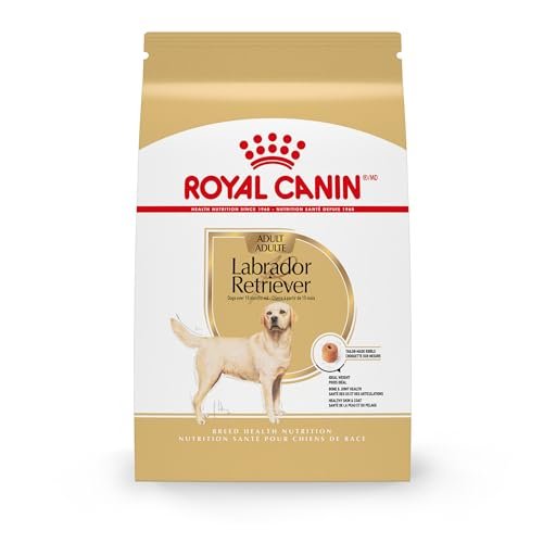 Best Dog Food for Labradors: Top Breed-Specific Choices for Health