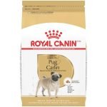 Best Dog Food for Pugs: Top Breed-Specific Choices for Healthy Pugs
