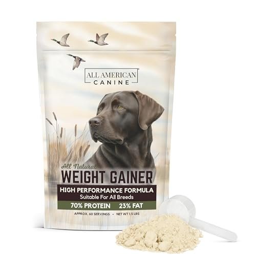 Best Dog Food for Weight Gain: Top High-Calorie Supplements Reviewed