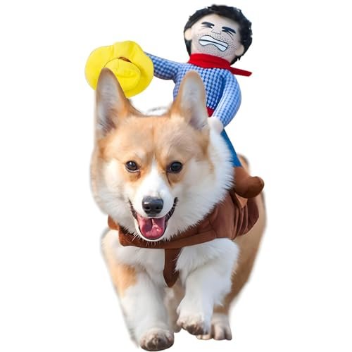 Best Dog Halloween Costumes to Make Your Pet Stand Out This Season