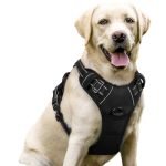 Best Dog Harness for Pulling: Top No-Pull Adjustable Reflective Options