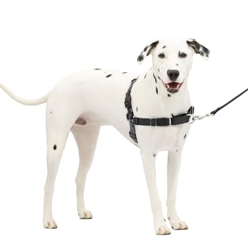 Best Dog Harnesses for Pullers: Top No-Pull Control Harness Picks